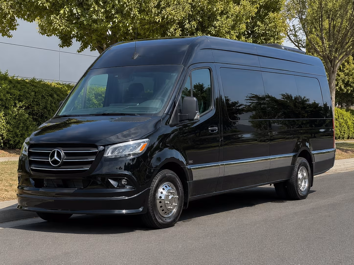 carson sprinter van with driver